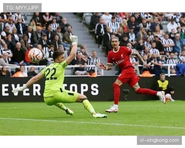 努涅斯终结效率低下的根源：战术适配性与射门选择的双重制约